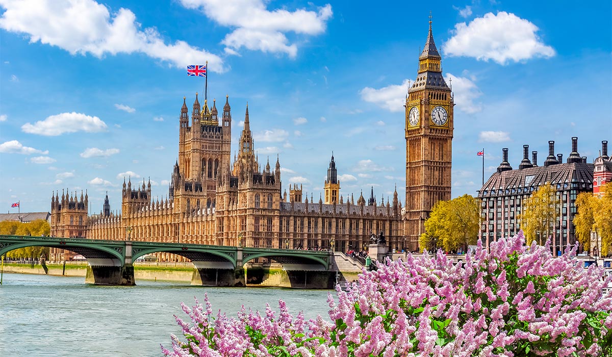 Big Ben and the Houses of Parliament stand along the River Thames, with a bridge and pink flowers in the foreground under a blue sky.