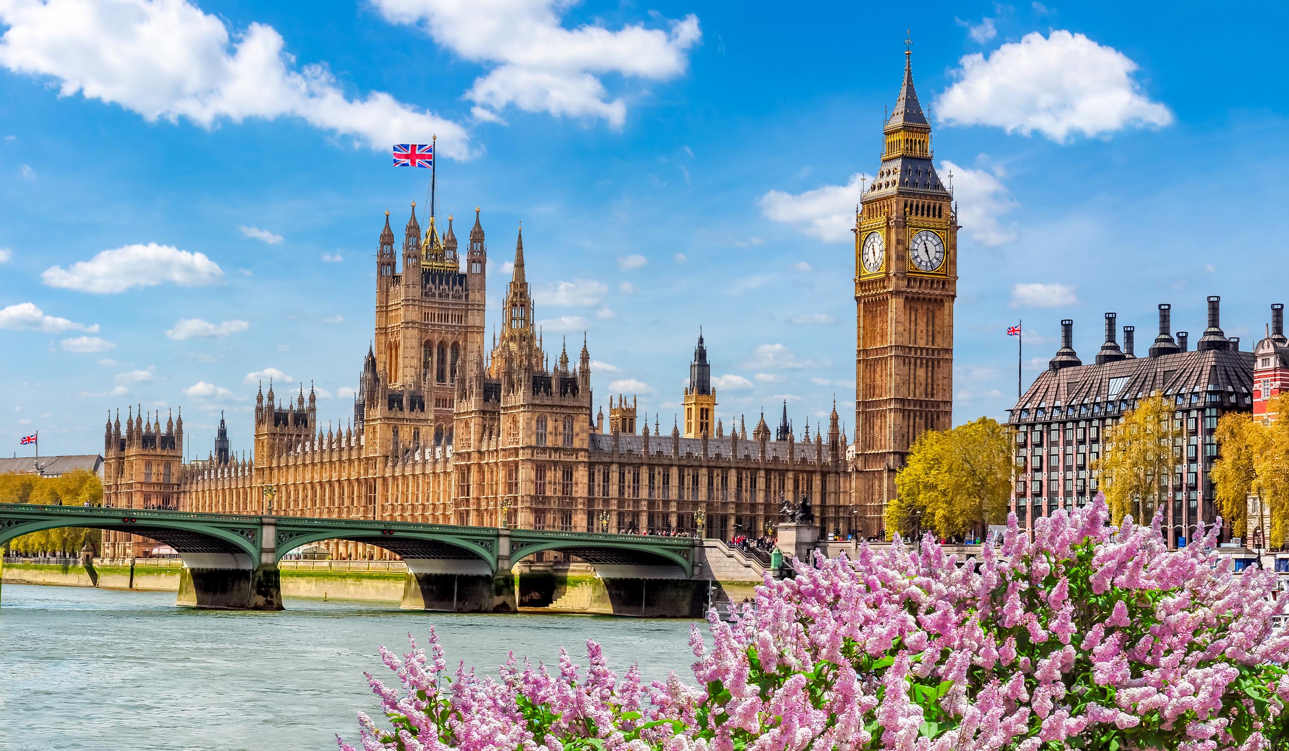 Big Ben and the Houses of Parliament stand along the River Thames, with a bridge and pink flowers in the foreground under a blue sky.