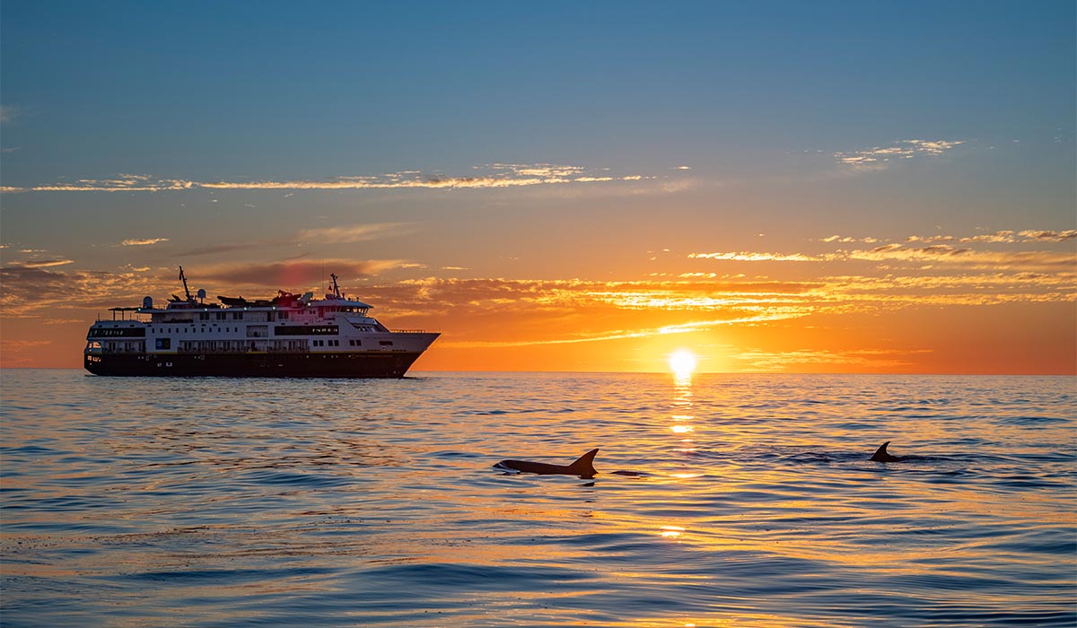 A large cruise ship is in a large body of water, with an orange sunset at horizon and two large whales peaking out of the water.