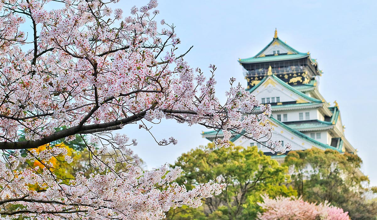 Pink cherry blossoms in the foreground with a traditional Japanese castle in the background, surrounded by trees under a clear blue sky.