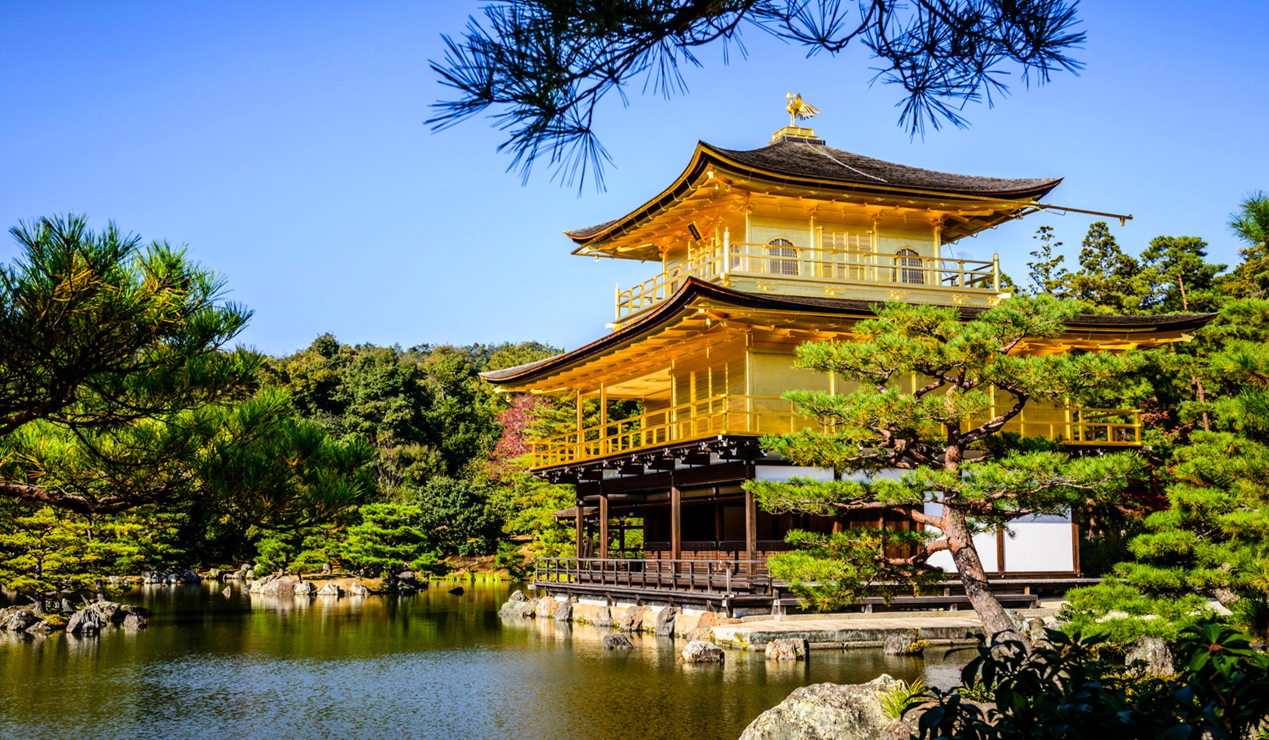 Golden temple with tiered roofs sits beside a reflective pond, surrounded by lush greenery and trees.