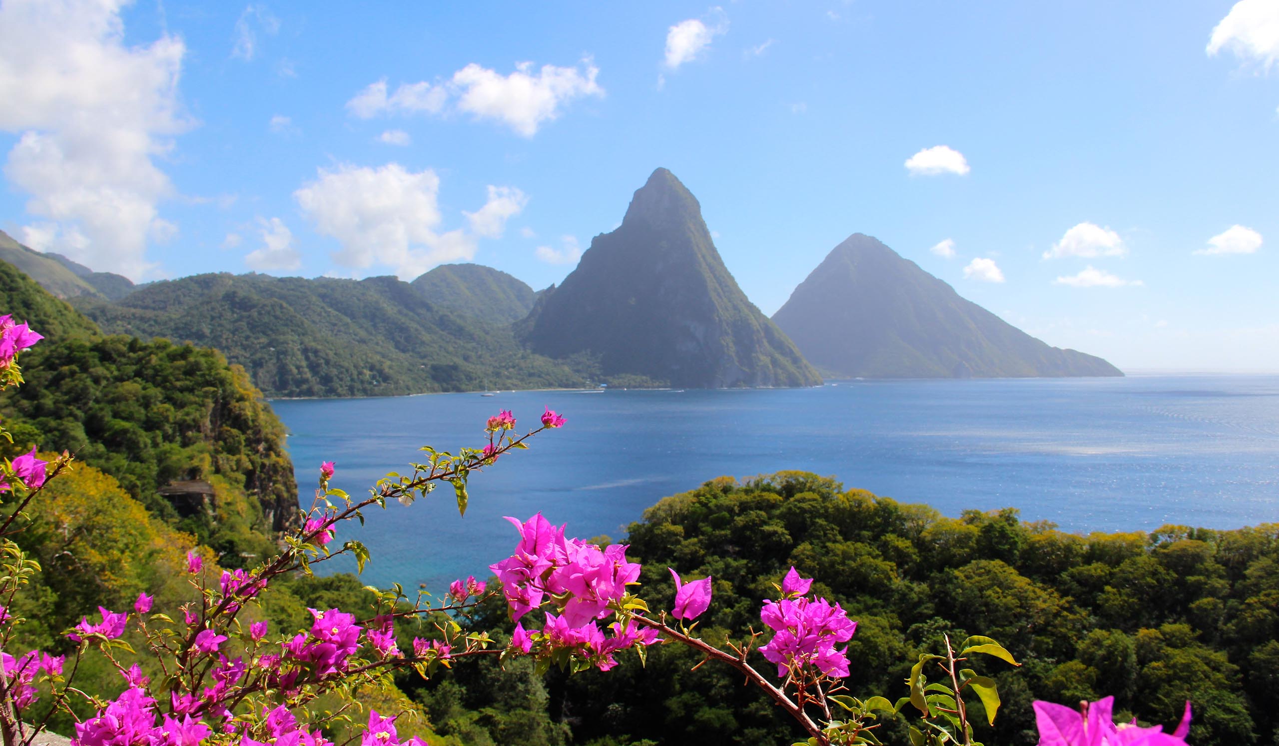 Two steep green mountains rise from the ocean, with pink flowers in the foreground under a clear blue sky.