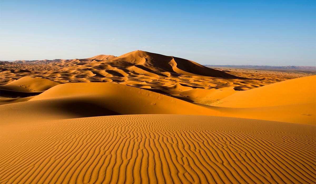 Vast desert landscape of rolling golden sand dunes, with rippled textures in the foreground and a large dune rising under a clear blue sky.