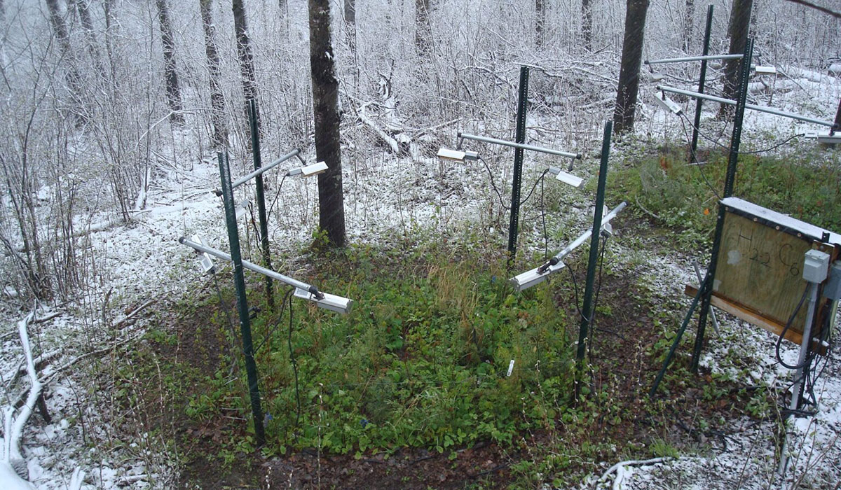 Just A Few Species Can Drive A Plant Communitys Response To Warming Temperatures Thermophilization Exp 1 1536x1152