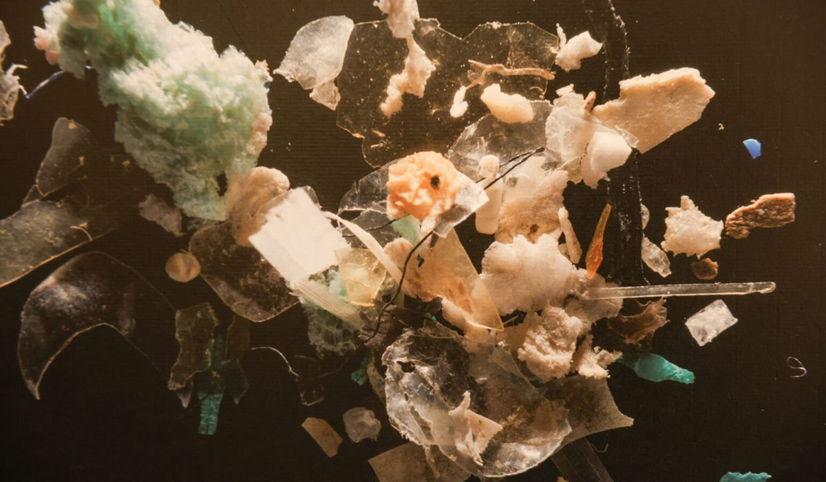 Mapping Michigans Airborne Microplastics 9