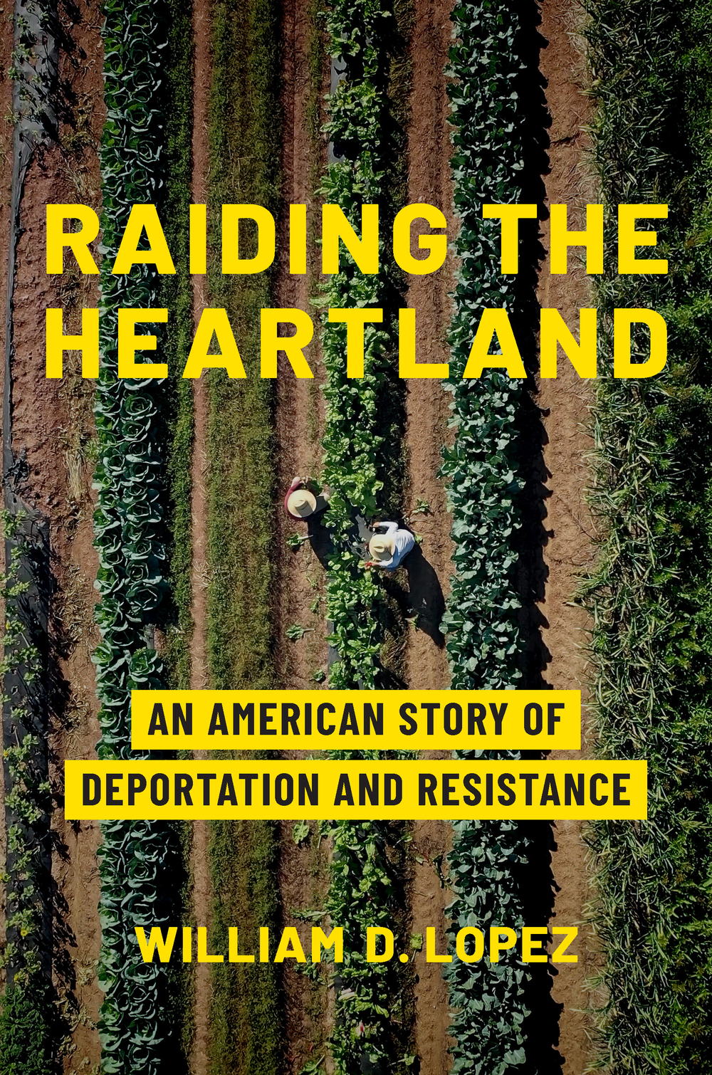 Cover of the book "Raiding The Heartland"