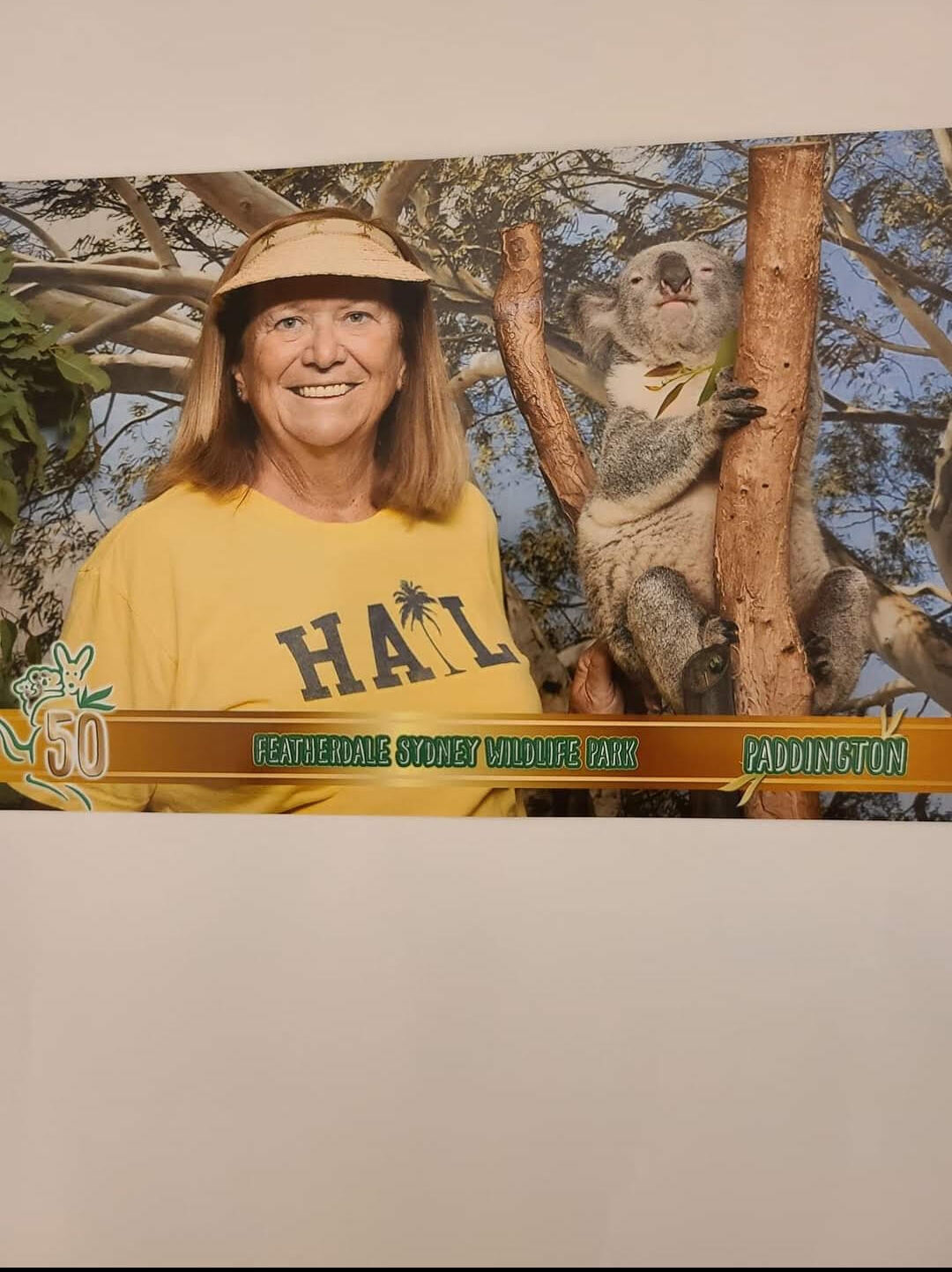 A person in a yellow “HAIL” shirt stands next to a koala on a tree at Featherdale Sydney Wildlife Park.