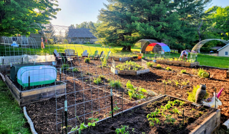 A large area garden with garden beds, chicken wire, and trees and grass in the background.