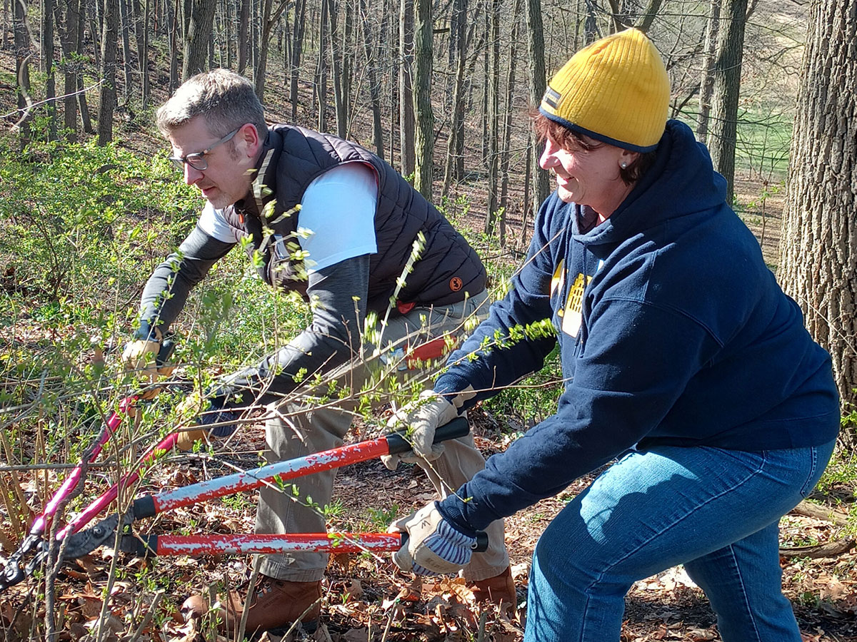 Two people cut limbs from a fallen tree branch in the woods.