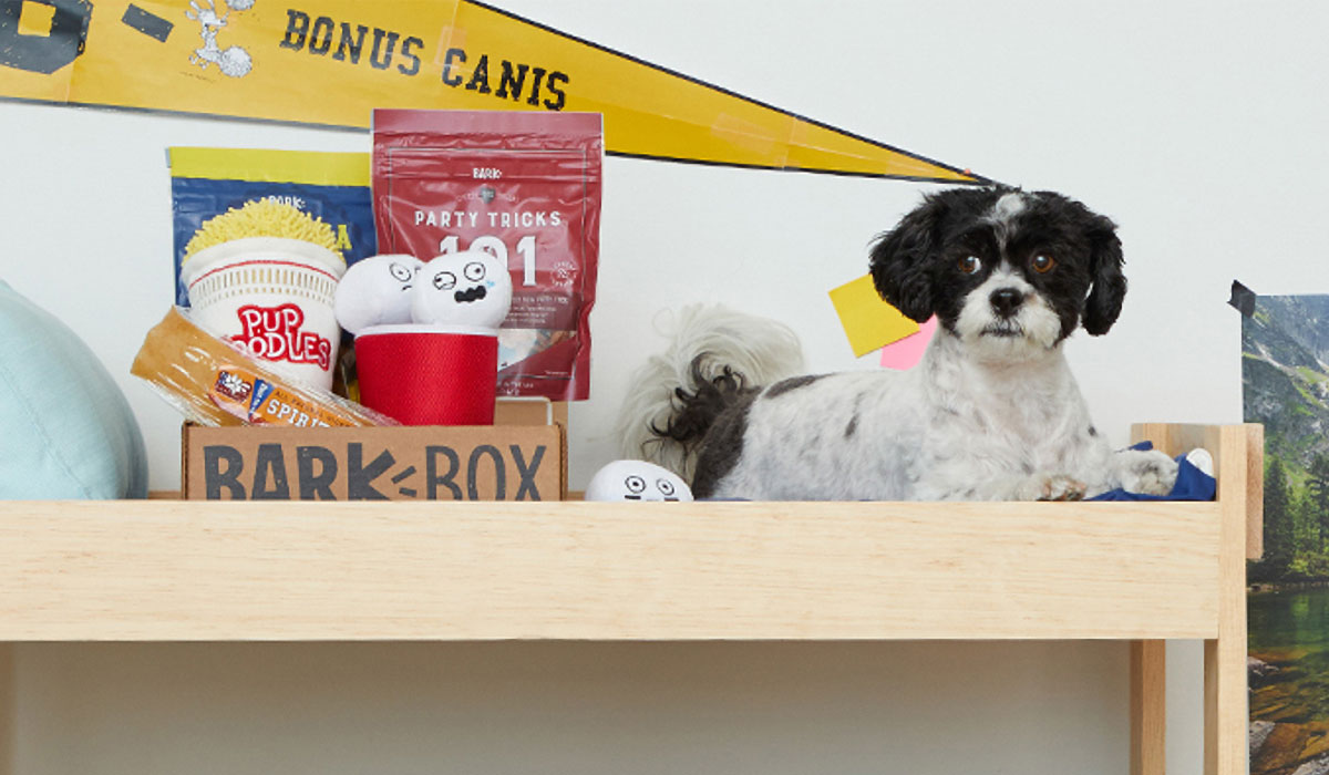 BarkBox Shipment with Puppy
