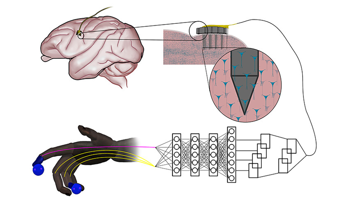 Simple neural networks outperform the state-of-the-art for