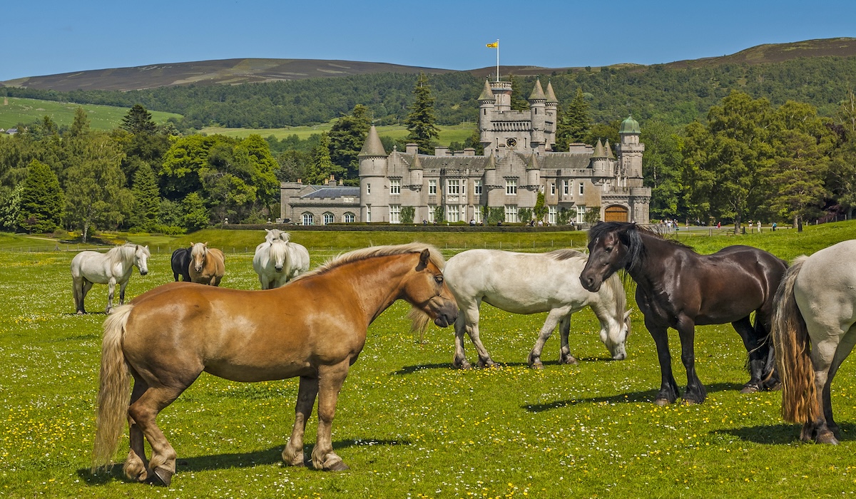 Horses,Near,Balmoral,Castle,,Scotland
