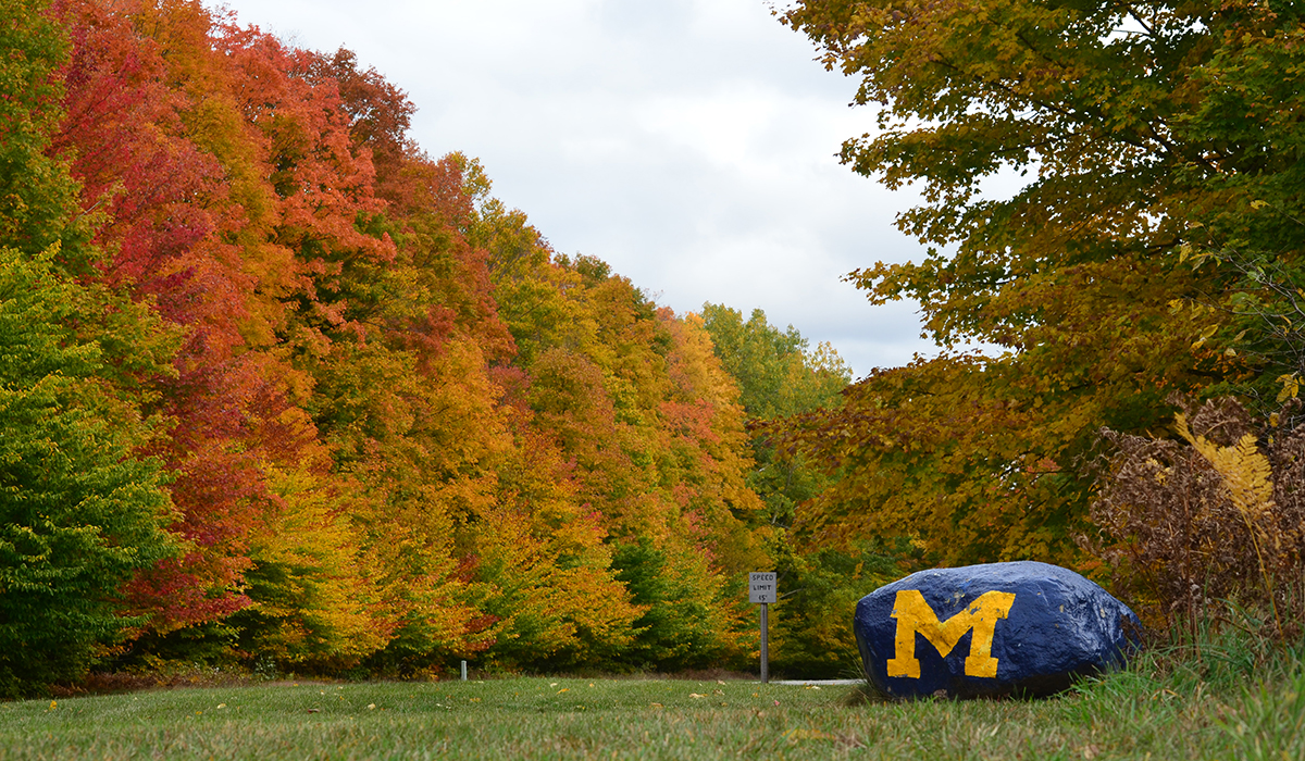 Camp Michigania Fall Colors