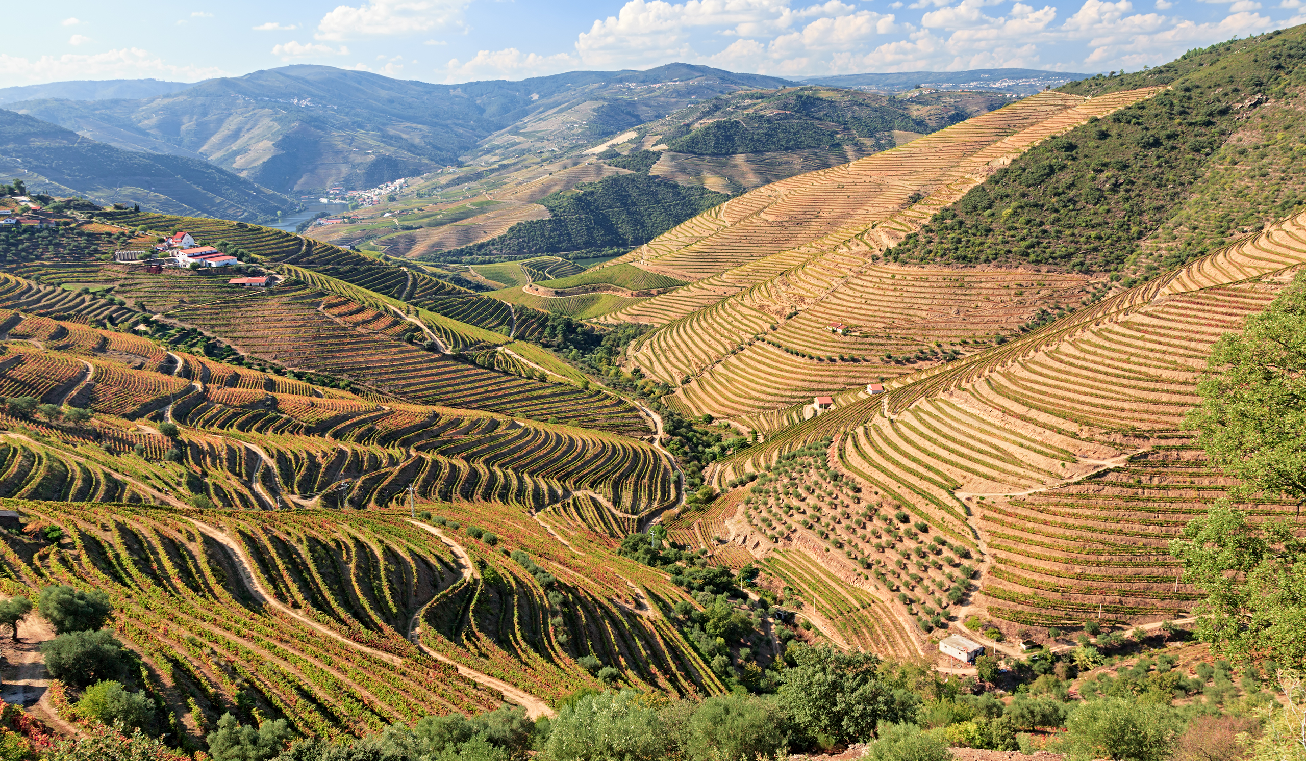 Delightful Douro 2560x1493