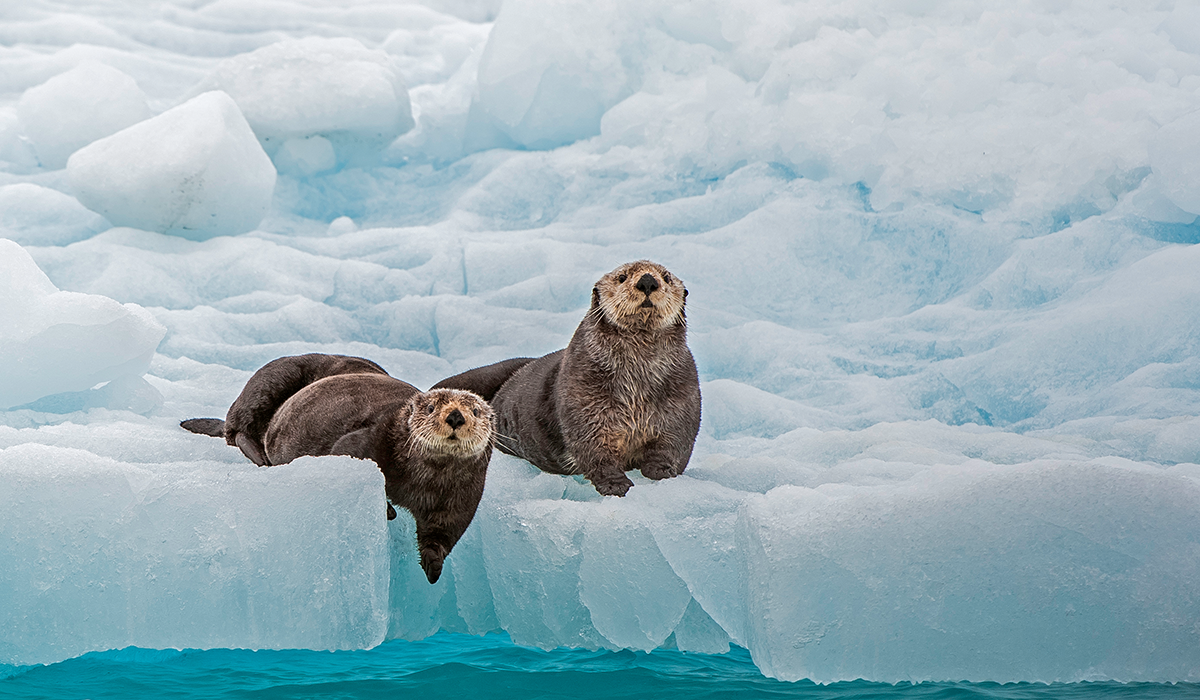 Discover Southeast Alaska 1200x700