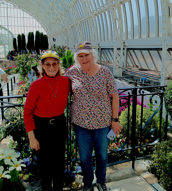 Doris Candy Garden