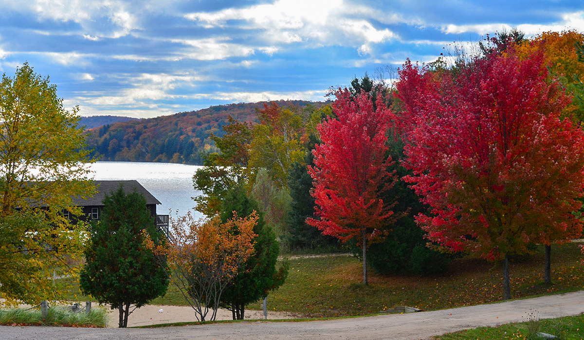 Fall Colors On Walloon Lake