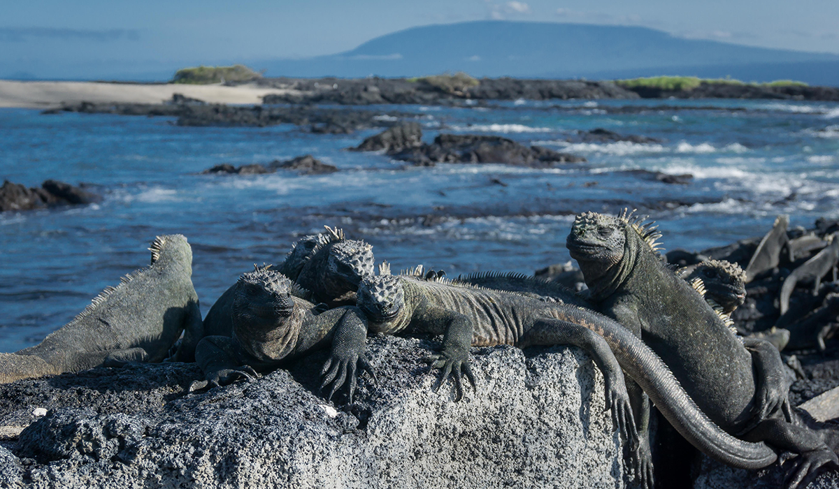 Galapagos Islands 1200x700