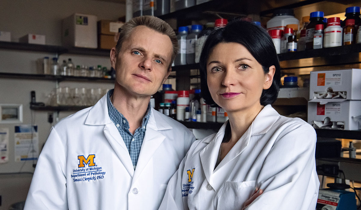 Grembecka Cierpicki Lab 2020 004