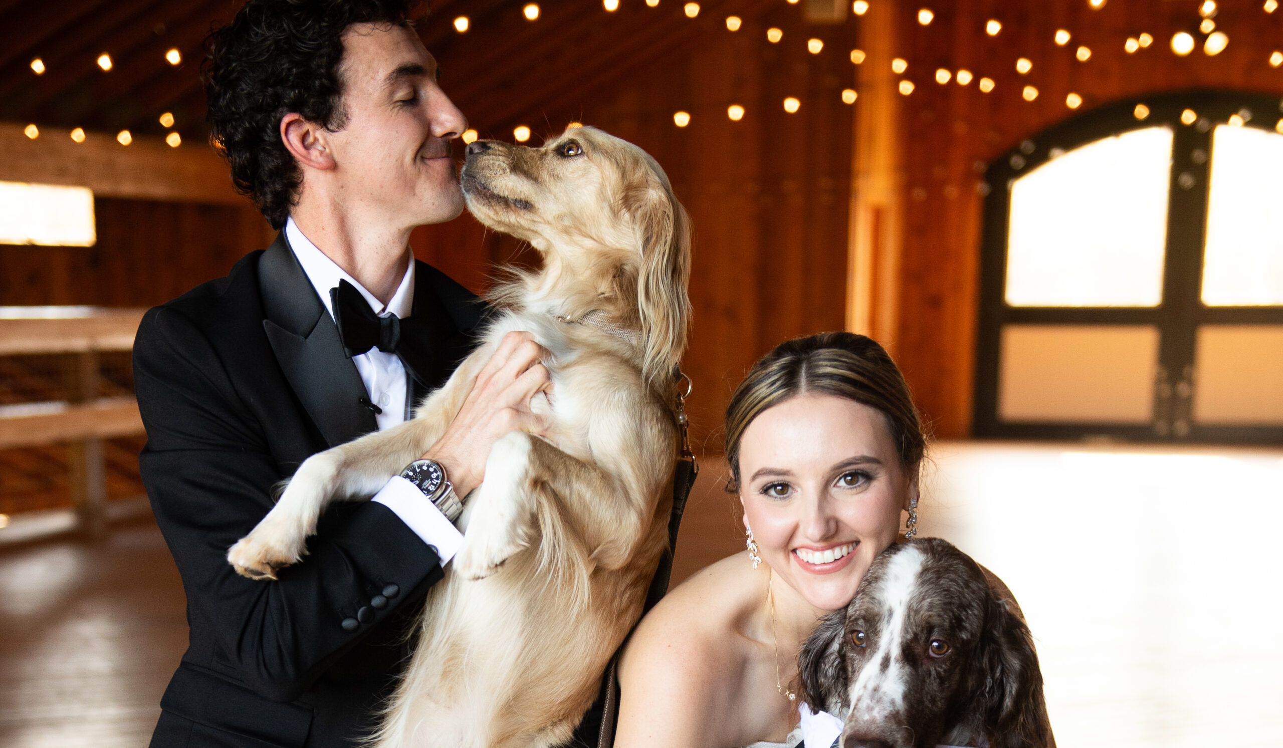 A cropped photo of Ben (left) and Hannah (right) on their wedding day, posing with two dogs.