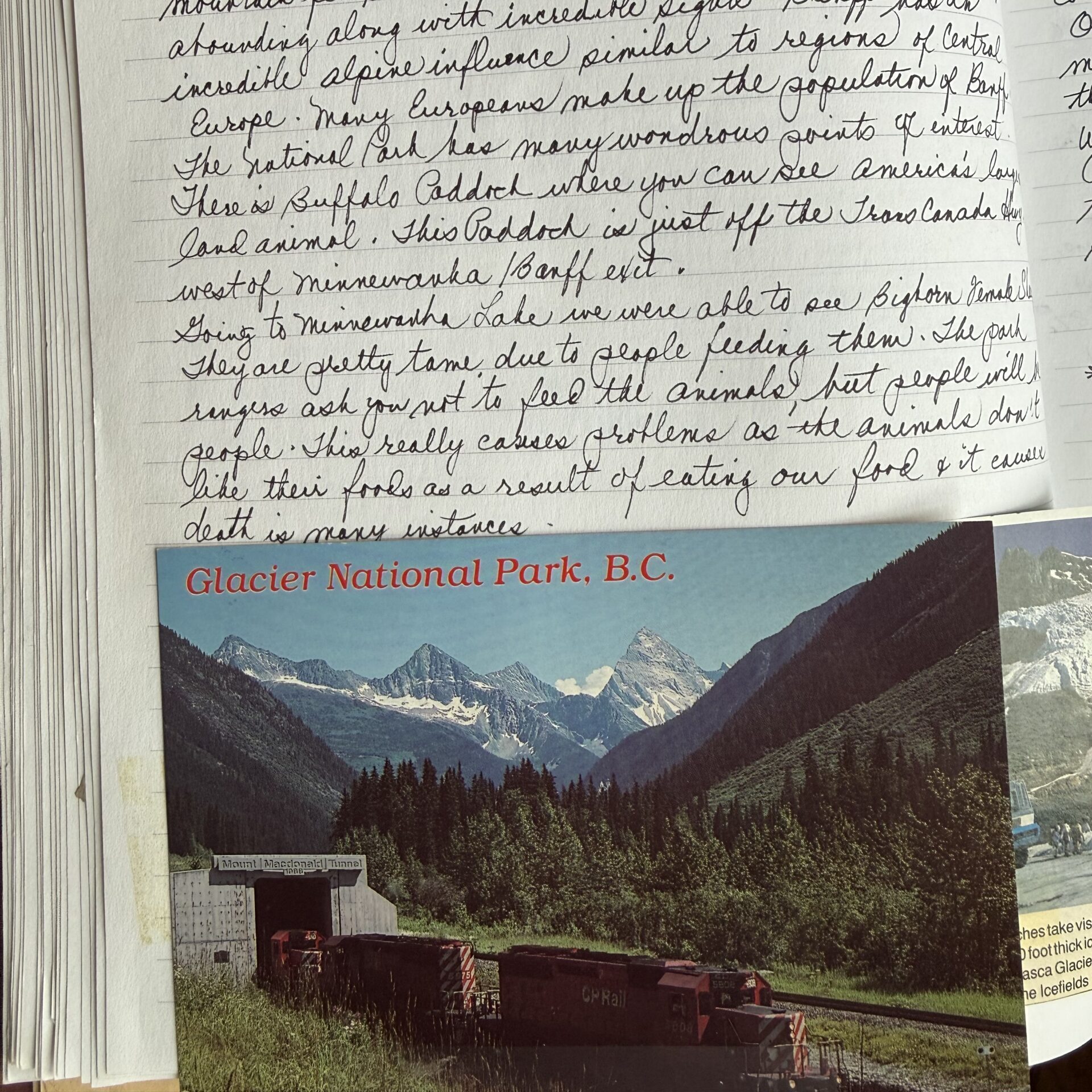 A photographic postcard of a bright and forested Glacier National Park in British Columbia, Canada, lying on top of a journal page filled with written notes.