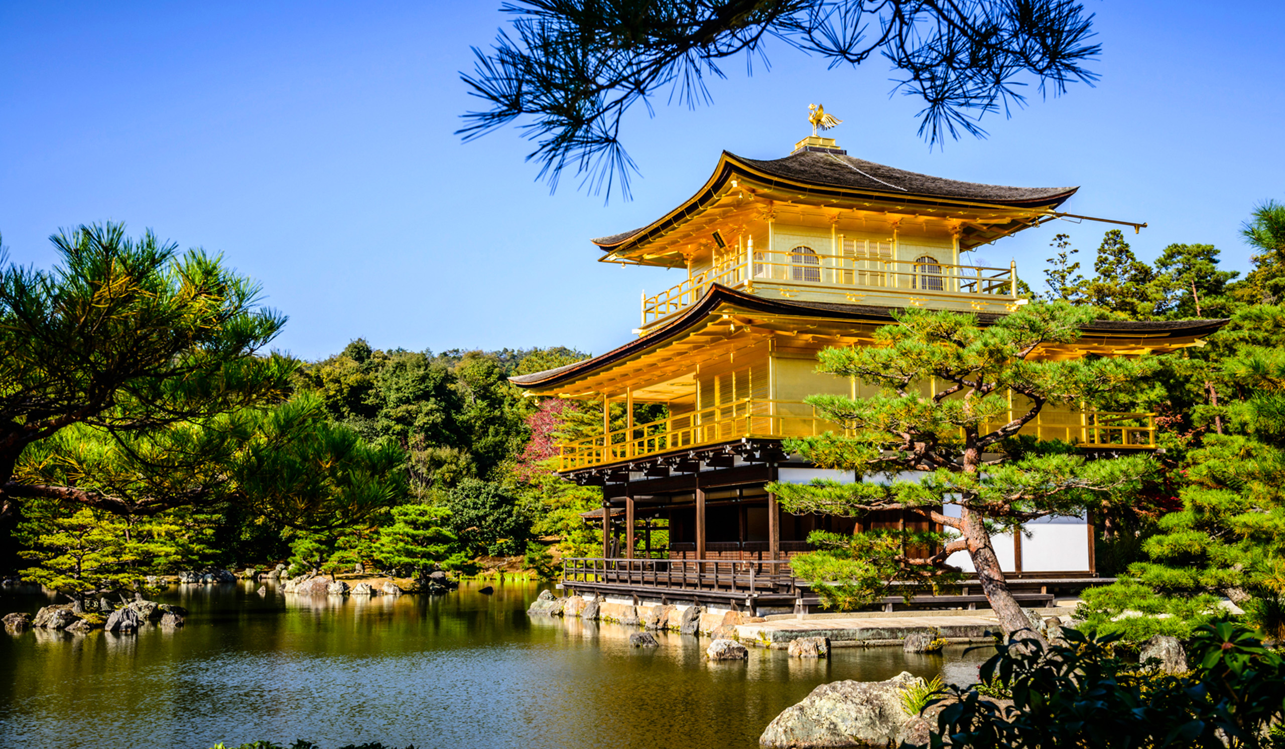 Insiders Japan 1