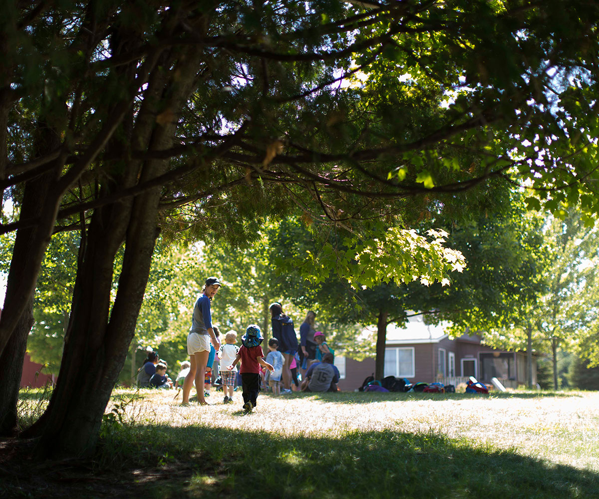 People walking near a tree at Camp Michigania