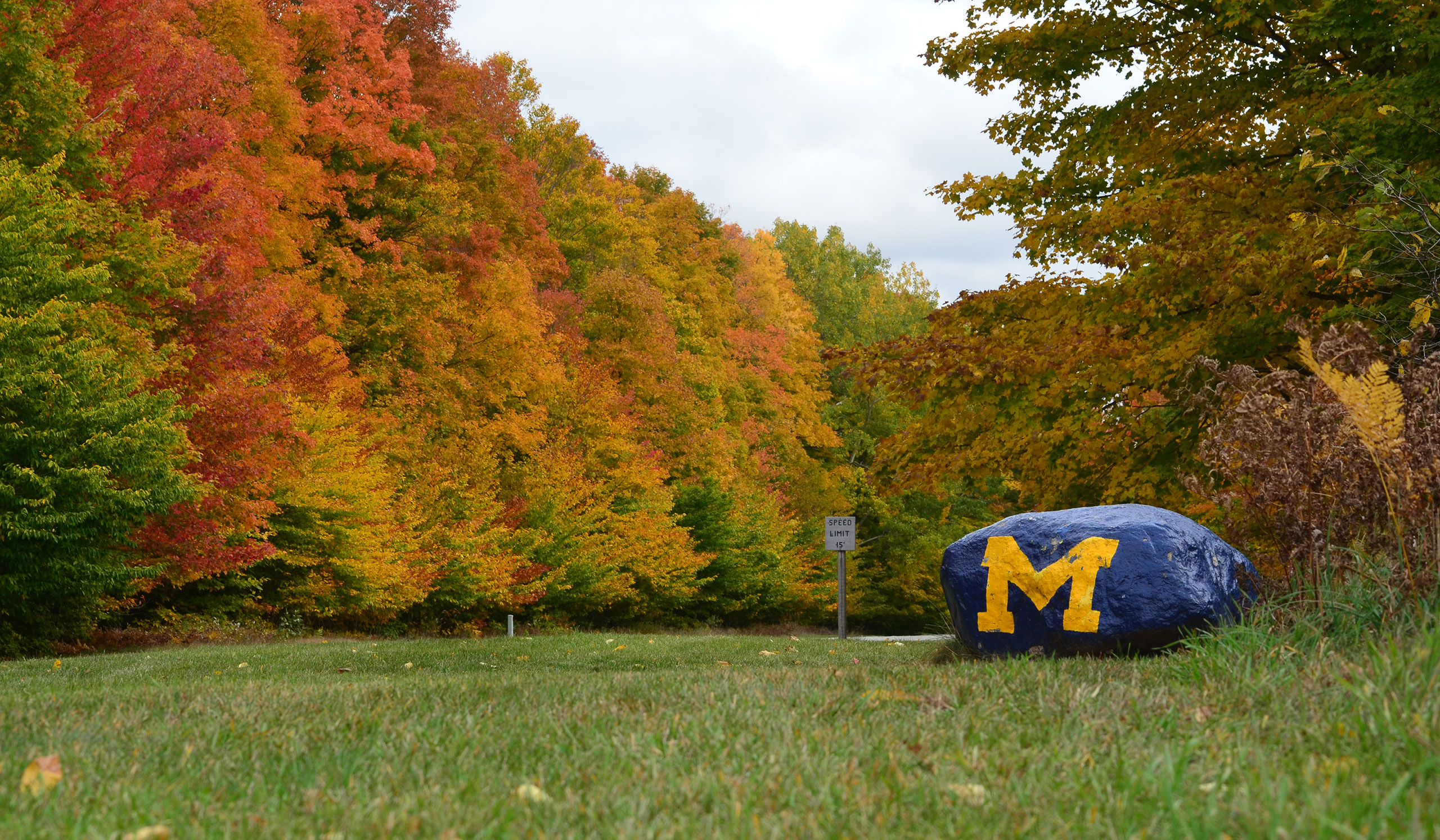 The rock at Michigania surrounded by fall colors