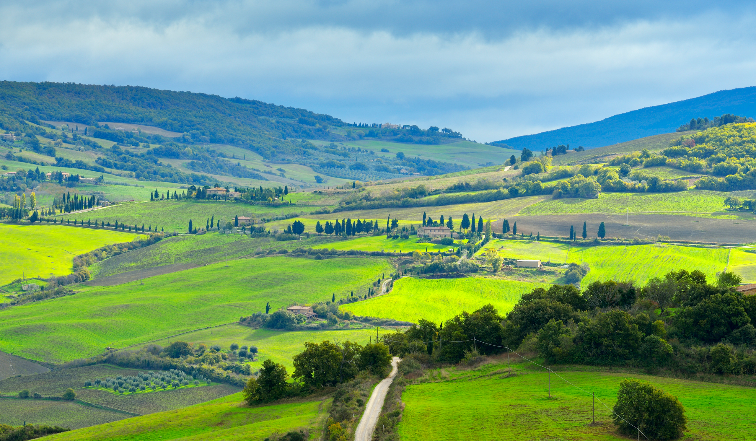 Portrait Of Italy