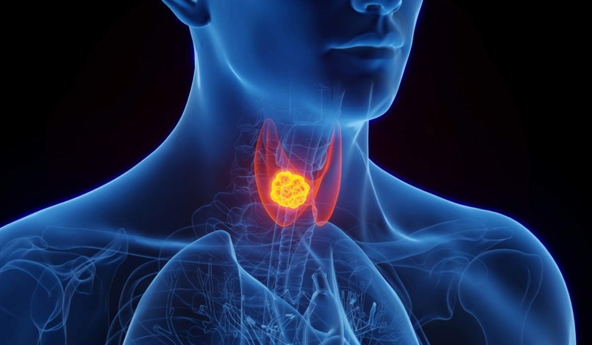 Resize Image Project 2025 10 04T214234.002