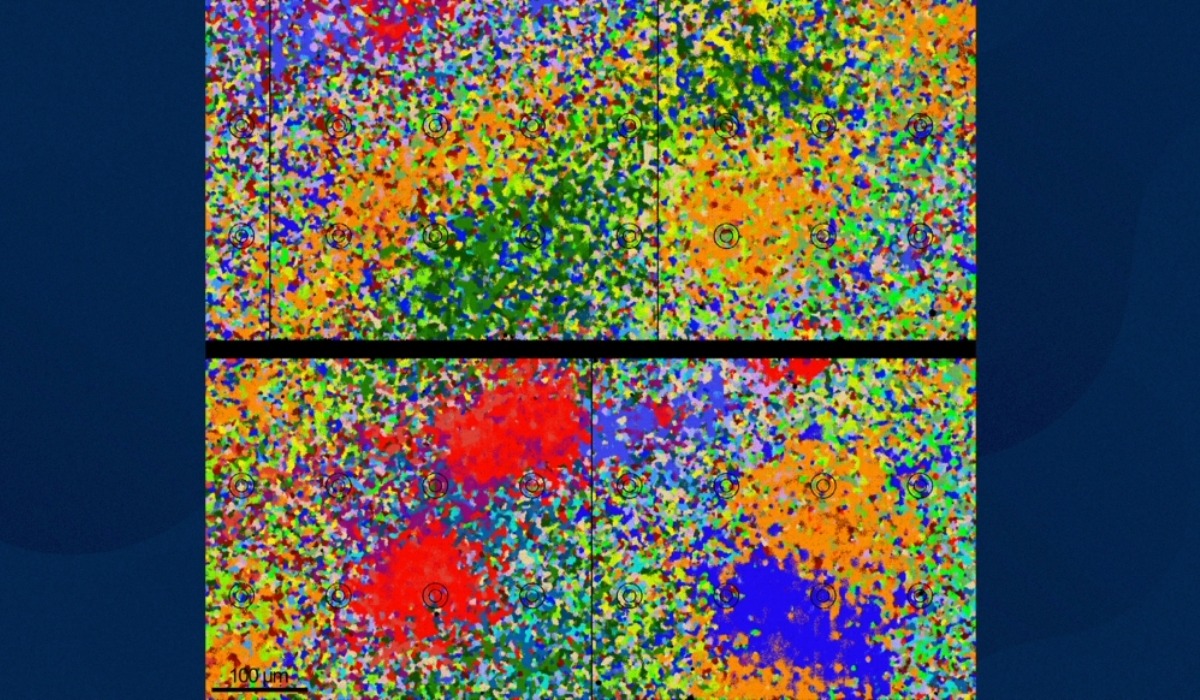 Resize Image Project 2026 02 27T154312.270
