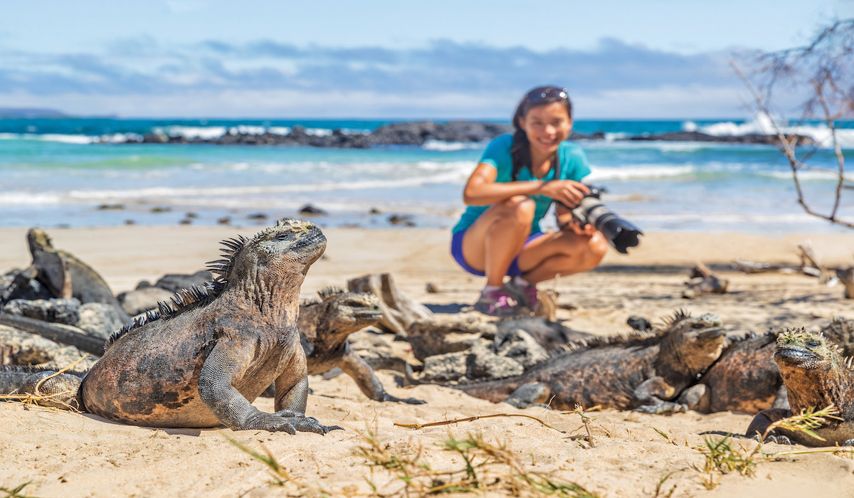 Ecotourism,Tourist,Photographer,Taking,Wildlife,Photos,On,Galapagos,Islands,Of