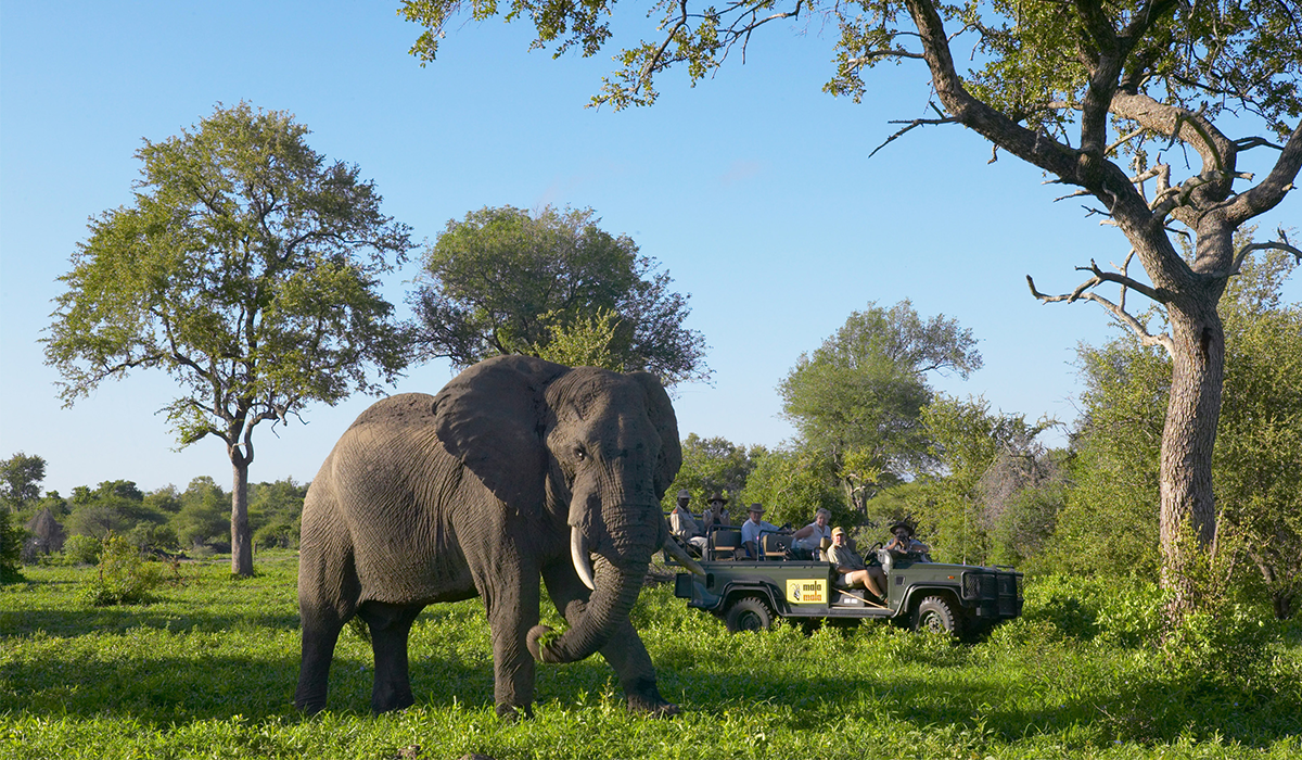 South Africa 1200x700