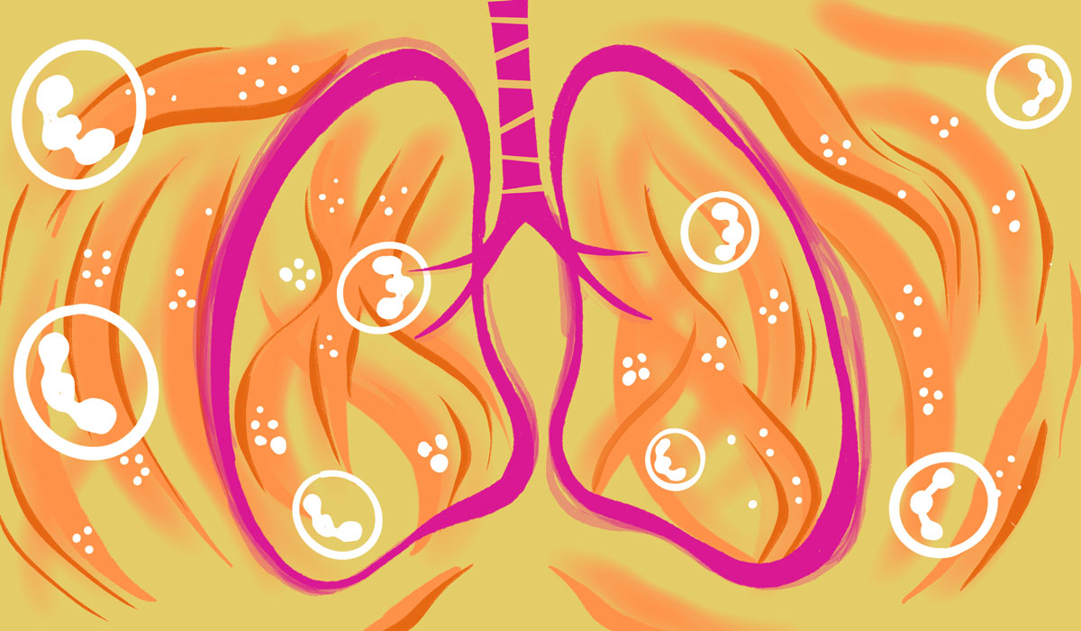 V2lungs Breathing Scd13 Protein Veins