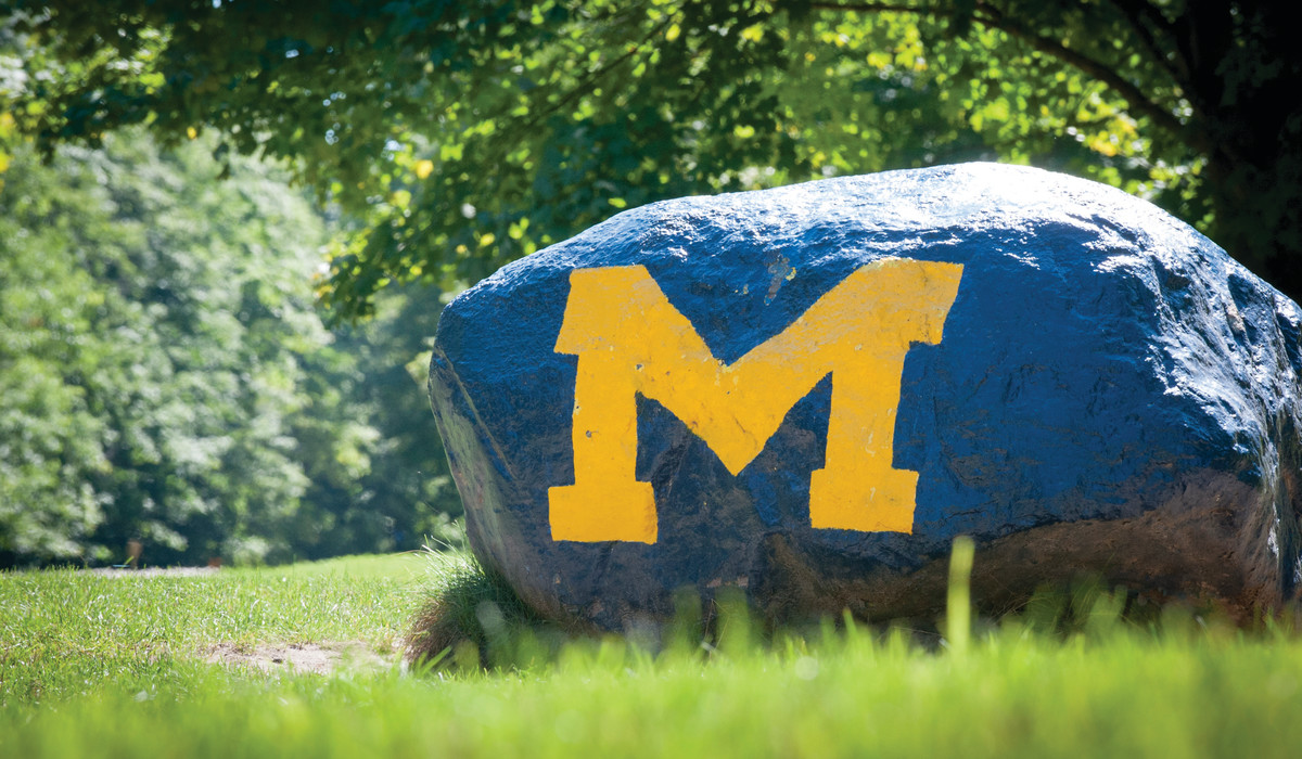 Michigan rock at Camp Michigania