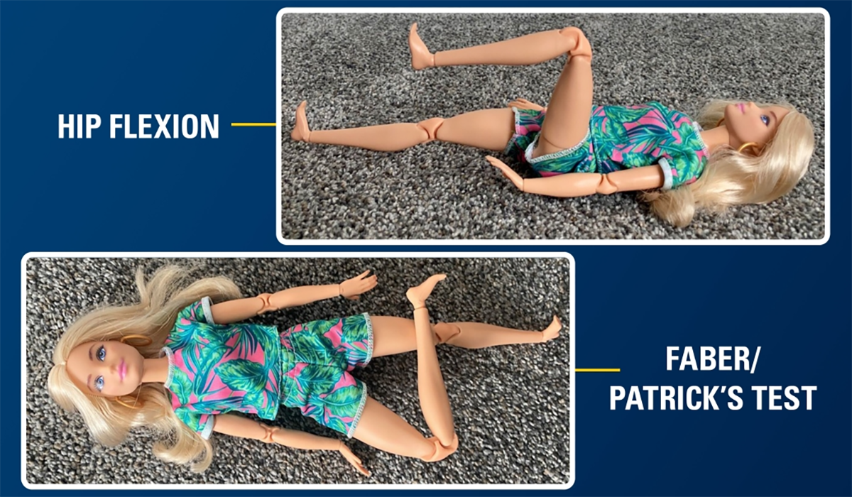Barbie Doll Stretching Visual Aid