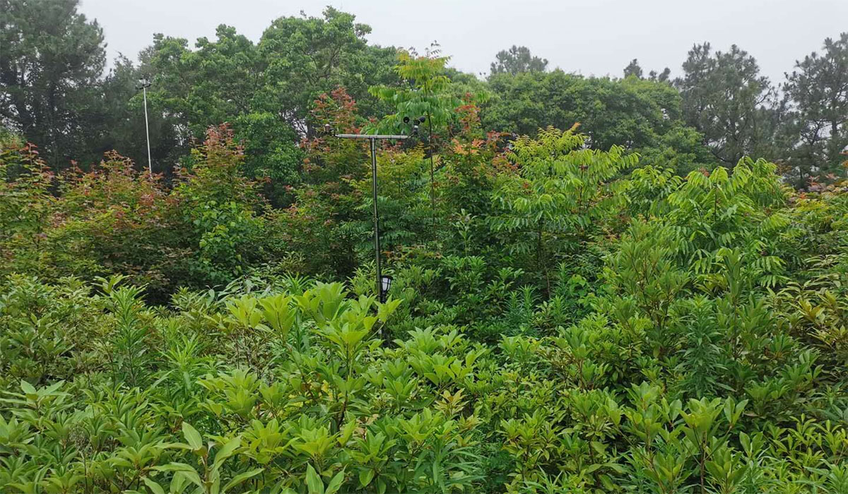 Biodiversity Matters In Every Forest But Even More In Wetter Ones Biodiversity Plot Exterior