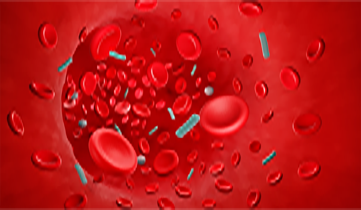 Blood Cells Vein Bacteria Bloodstream
