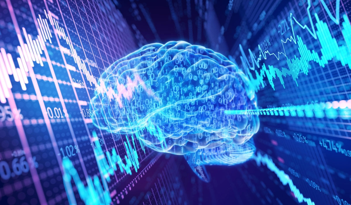 Brain