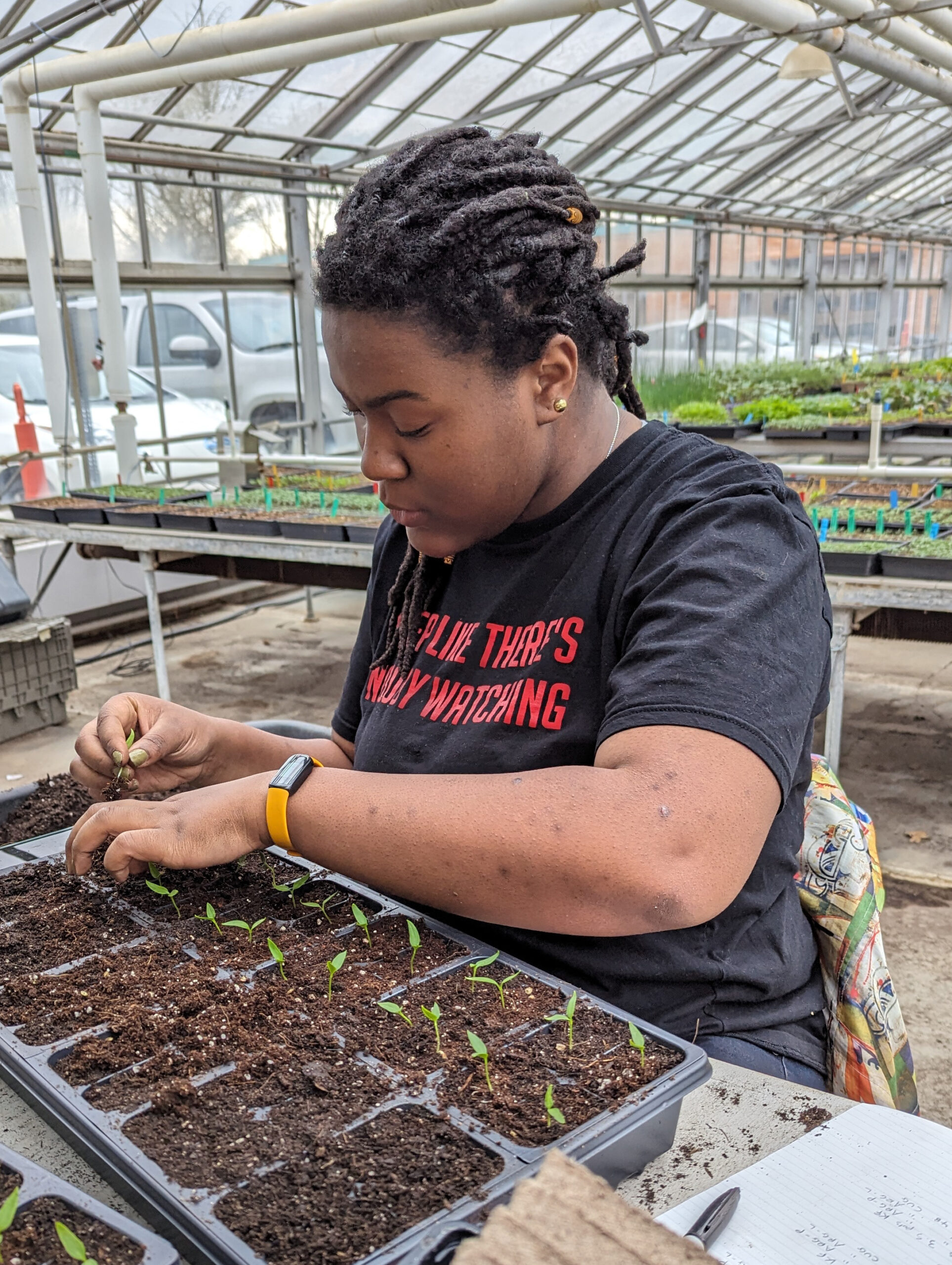 A student in a black t-shirt plants in a Campus Farm greenhouse. 