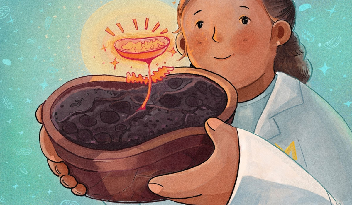 Diabete Patient Misfolding Mitochondria Solution