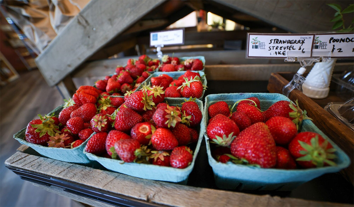 Farm Stops Bringing Fresh Food To Michigan Communities All Year Round 2