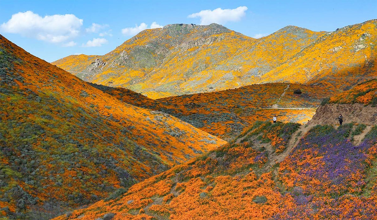 Grasslands Live In The Climate Change Fast Lane