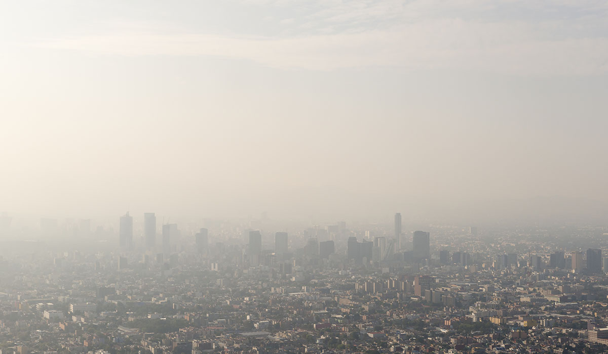 Mexico City Skyline And Smog