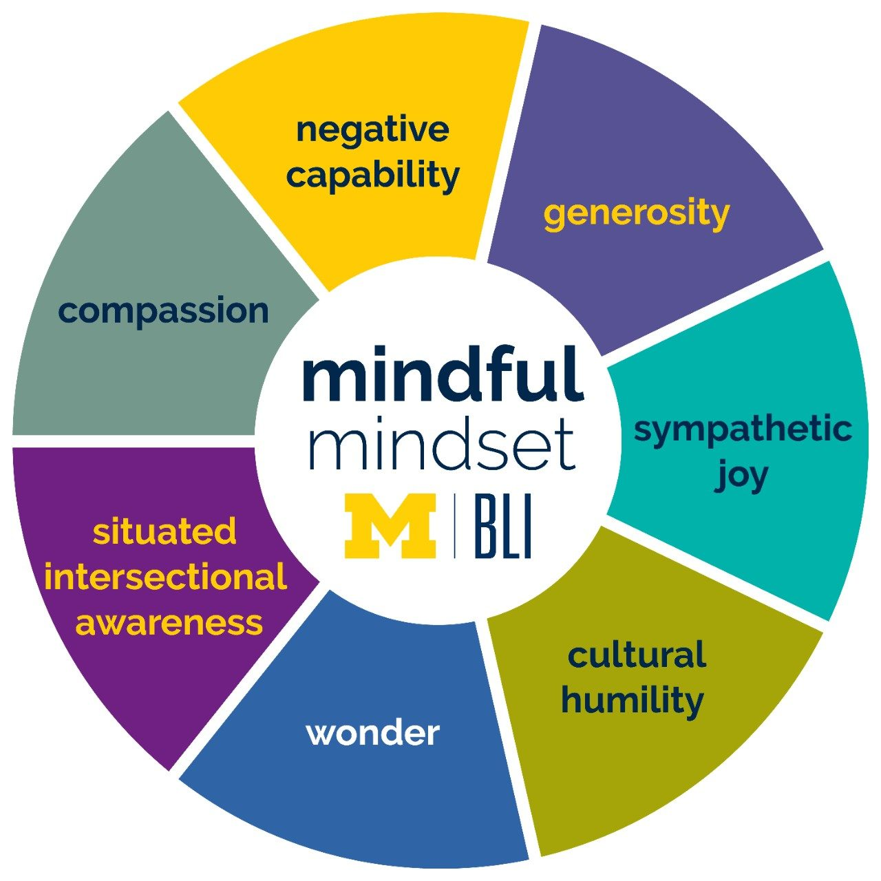 A pie-chart style image depicting the "Mindful Mindset."