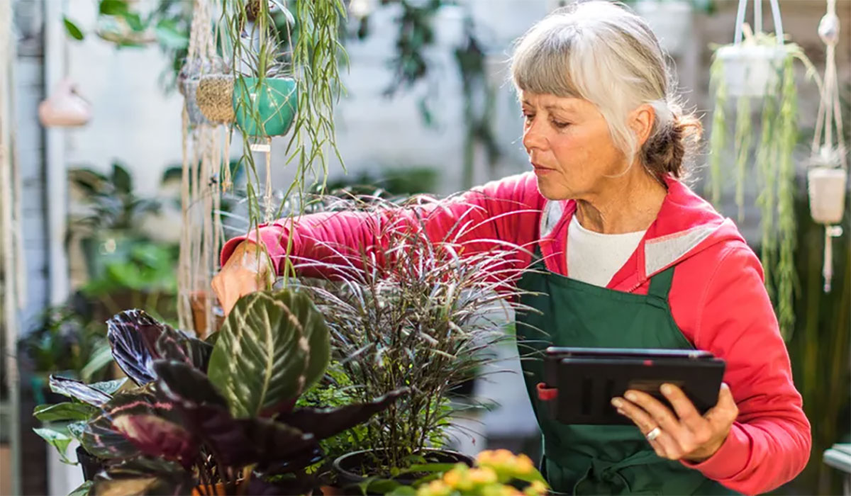 Older Woman Working In Greenhouse NPHA