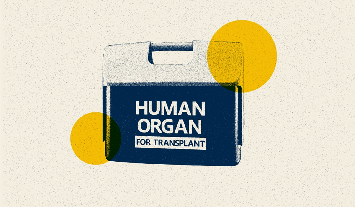 Organ Transplant Cooler 0