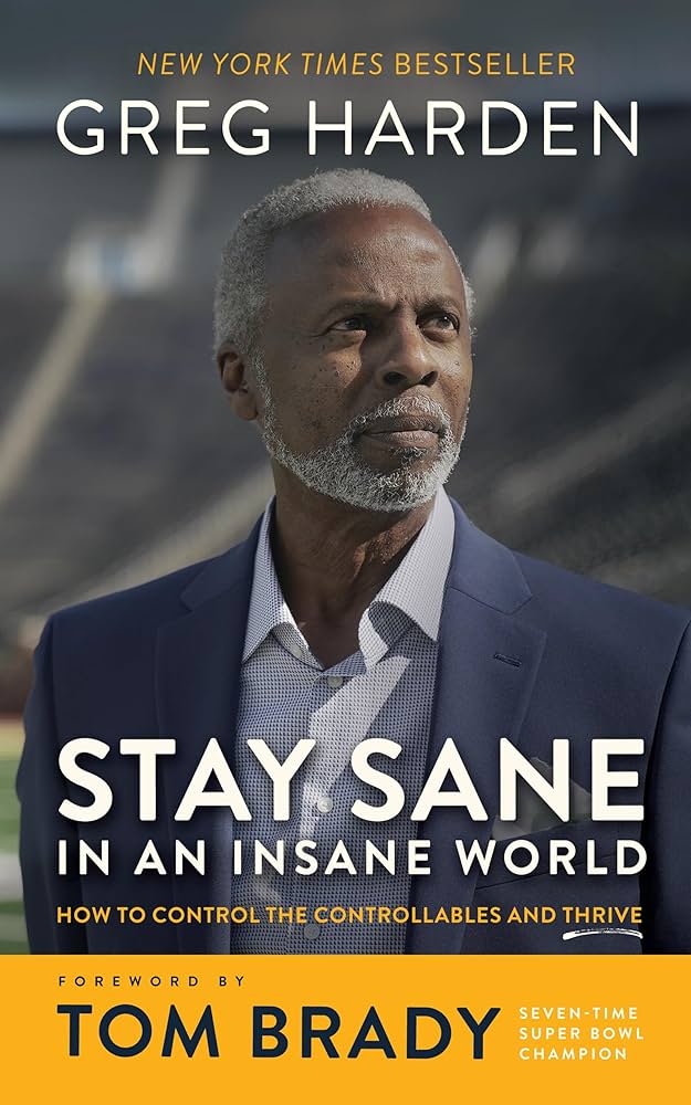 Cover of "Stay Sane in an Insane World"