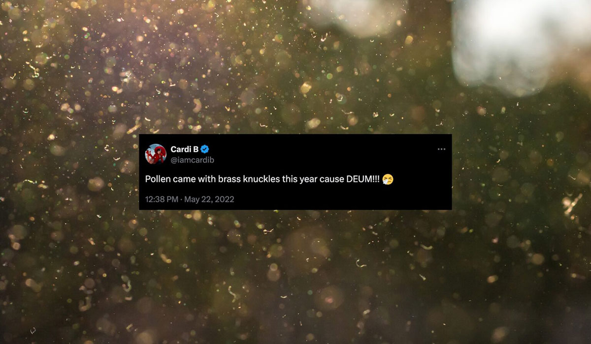 Twitter Data Reveals Partisan Divide In Understanding Why Pollen Seasons Getting Worse AdobeStock 265203765 1 1536x1024