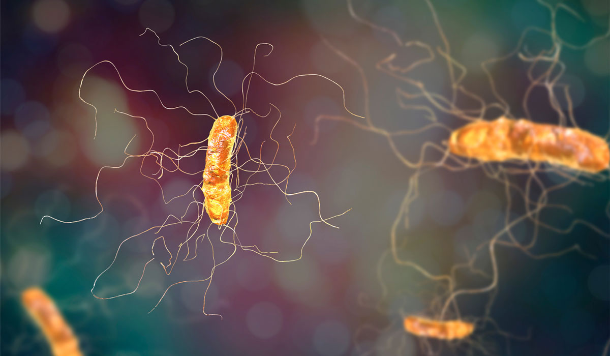 V2Cdiff Featured